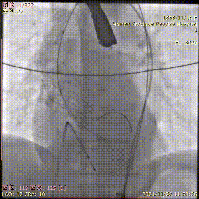 微信图片_20211223104446.gif