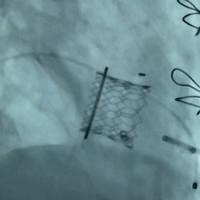 微信图片_20220104155310.gif
