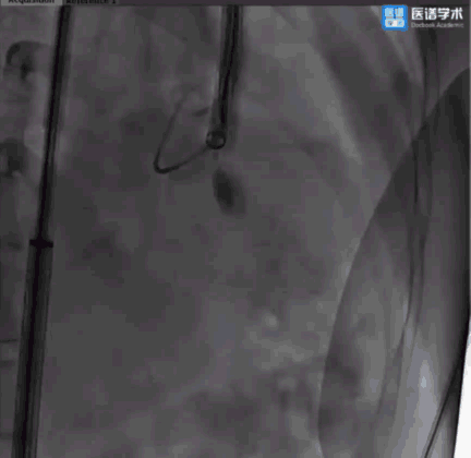 微信图片_20220131164605.gif