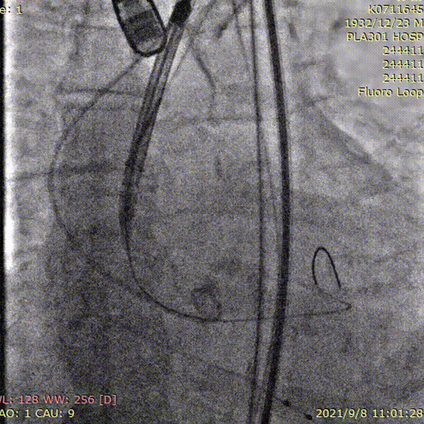 3.gif