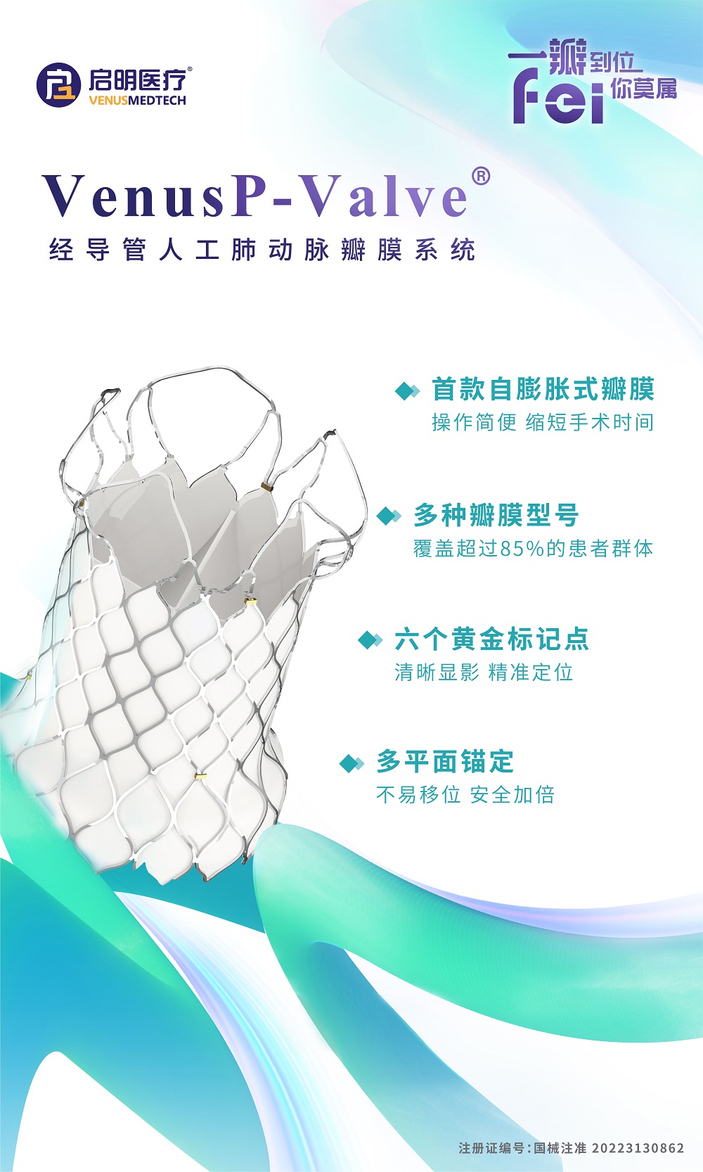 附件5：VunusP-Valve.jpg
